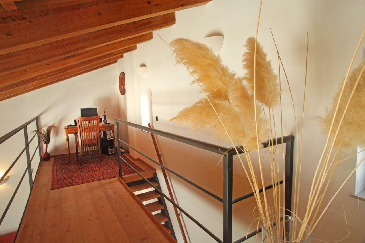 Spacious Villa In Parecag With A Swimming Pool Sečovlje 外观 照片