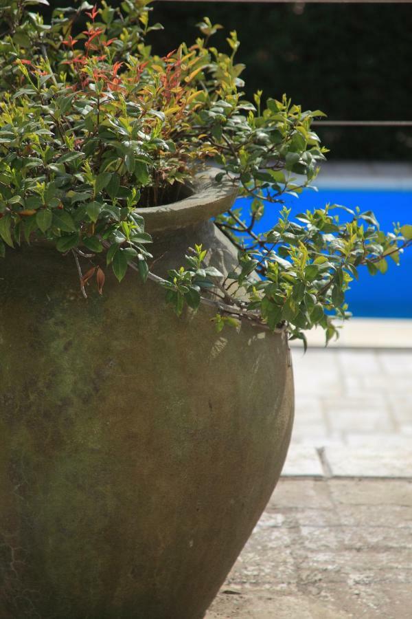 Spacious Villa In Parecag With A Swimming Pool Sečovlje 外观 照片